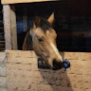 Meet your Posher, Jess